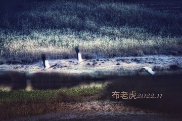 6987D0A3-EF23-4500-903F-BBB9C68EA84E/L0/001