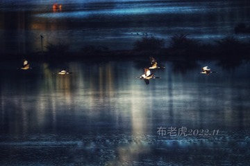 69B177FD-BFB9-44F9-B6EC-385CE1F35017/L0/001