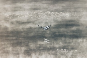 43858CB9-D37D-4DA8-88C9-F3AC531CB2DC/L0/001