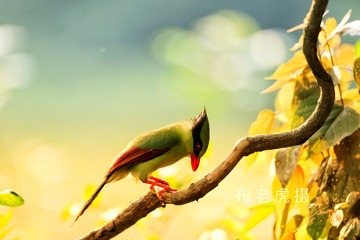 6E08A693-C393-4D66-BC34-6CF20E8683CD/L0/001