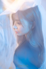 1221731