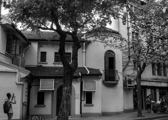 IMG_1729-1-2