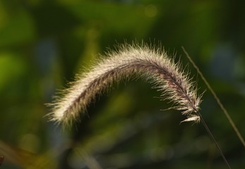 890953