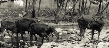 _DSC0327