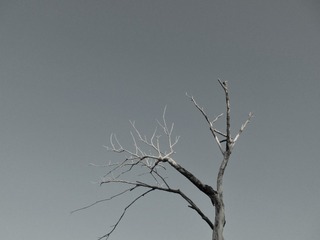 173018