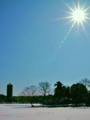 晴雪