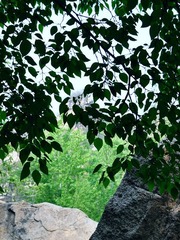 DSC_0196_Photo_by_Benjamin