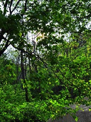 DSC_0180_Photo_by_Benjamin