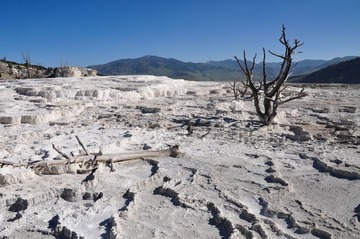 DSC_6974.jpg