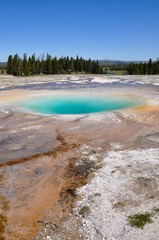 DSC_7177.jpg
