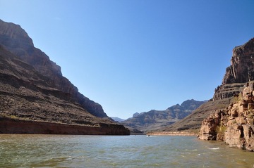 DSC_7917.jpg