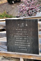 一杯沧海