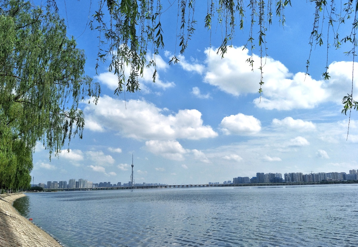 雨过天晴蓝天白云沿沂河西岸一路骑行捡拾小景不禁感叹小城临沂大美