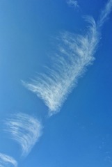 1021