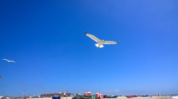 20140713-WP_20140713_15_16_23_Pro