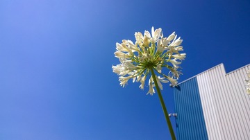 20140714-20140714-WP_20140714_15_38_22_Pro