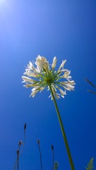 20140714-20140714-WP_20140714_15_38_39_Pro