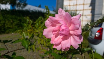 20140721-WP_20140721_18_16_04_Pro
