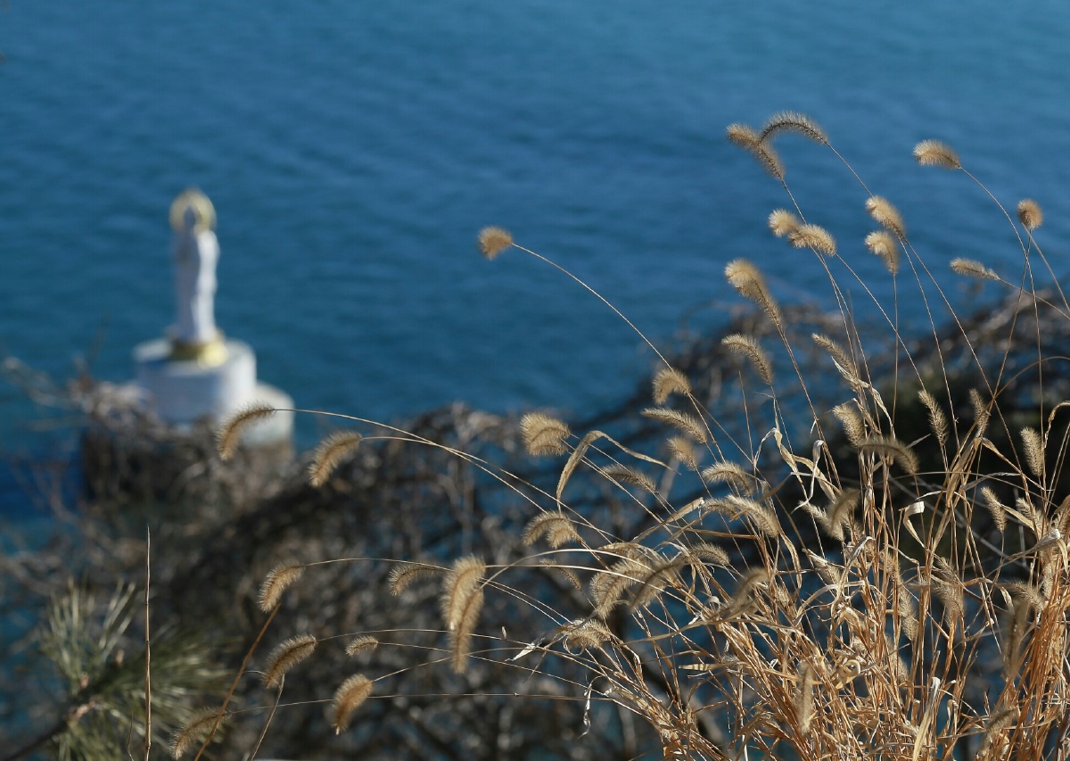 无我相·无人相·无众生相·无寿者相 - 105m