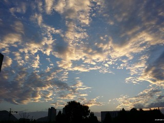 MA201610110624300065-01-000000000