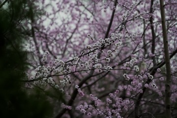 516B7444-8A24-4677-BE1D-AB90D663977F/L0/001