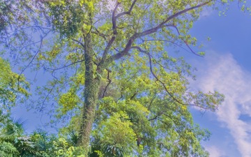_SAM1422-1