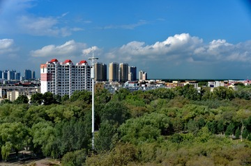 2013009