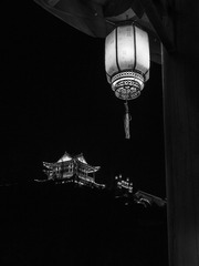 P1000450