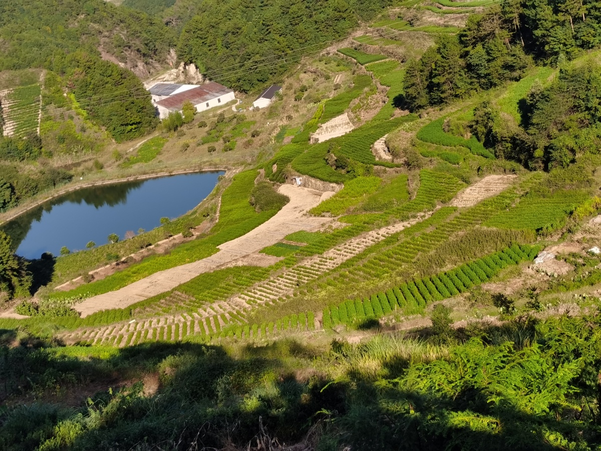乌石村盘龙梯田