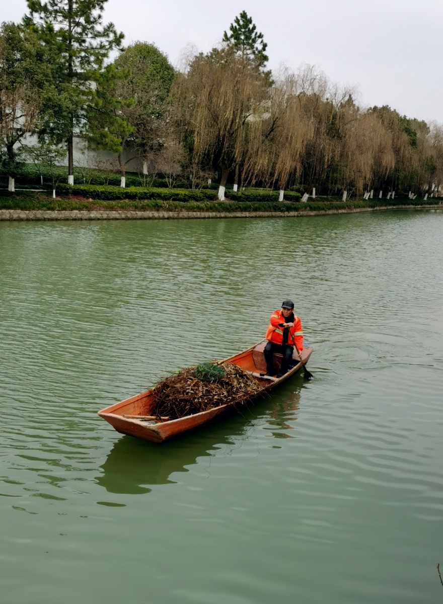 边划小船边捞垃圾不亦乐乎