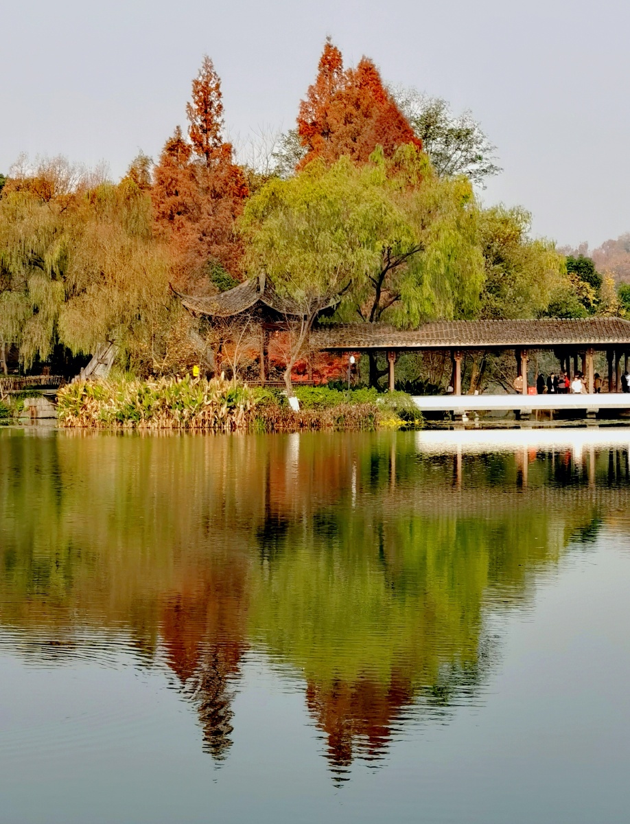 初冬的杭州浴鹄湾风光3