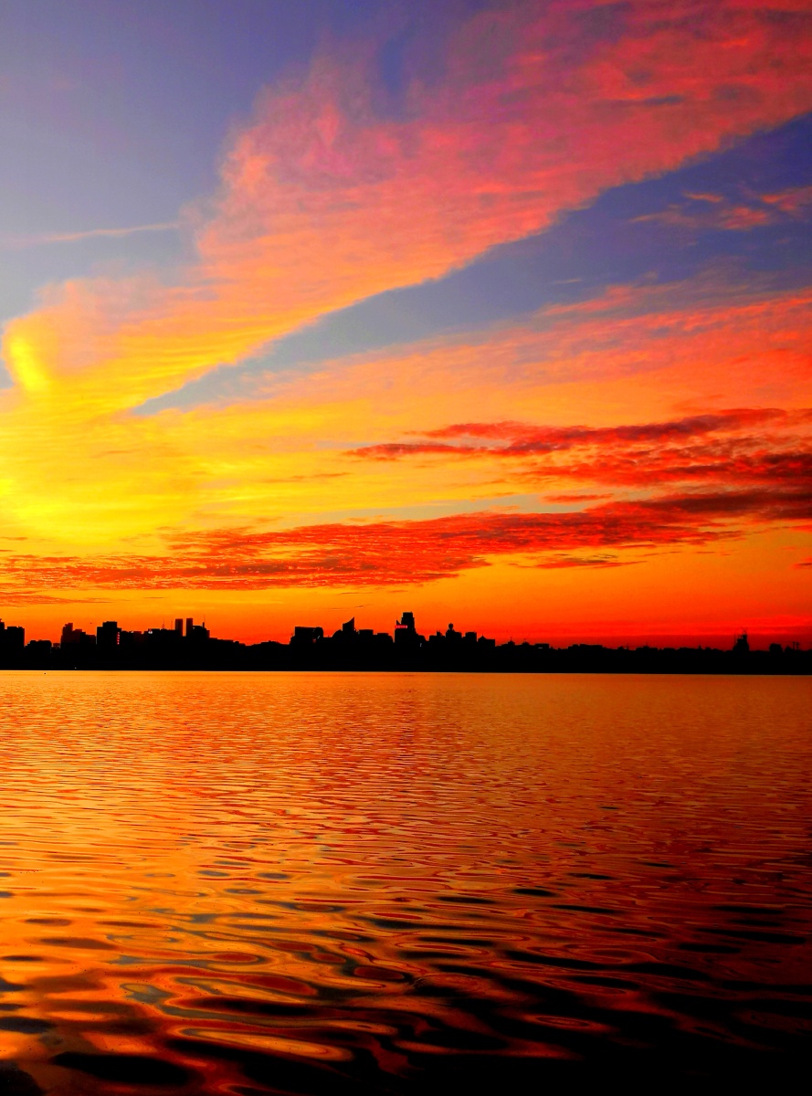 西湖朝霞一一摄于苏堤