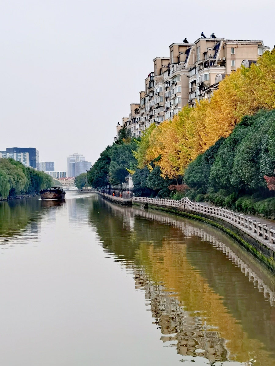 惠康摄影作品一一杭州余杭塘河初冬风光