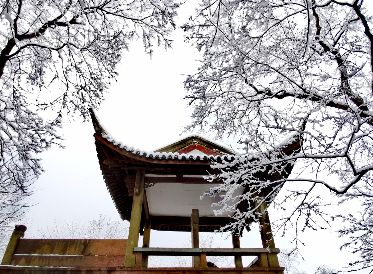 杭州初阳台雪景