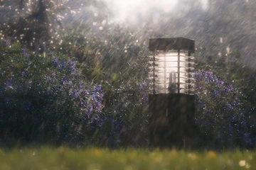 西边日落东边雨