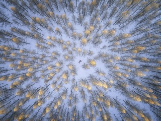 DJI_0041-Edit
