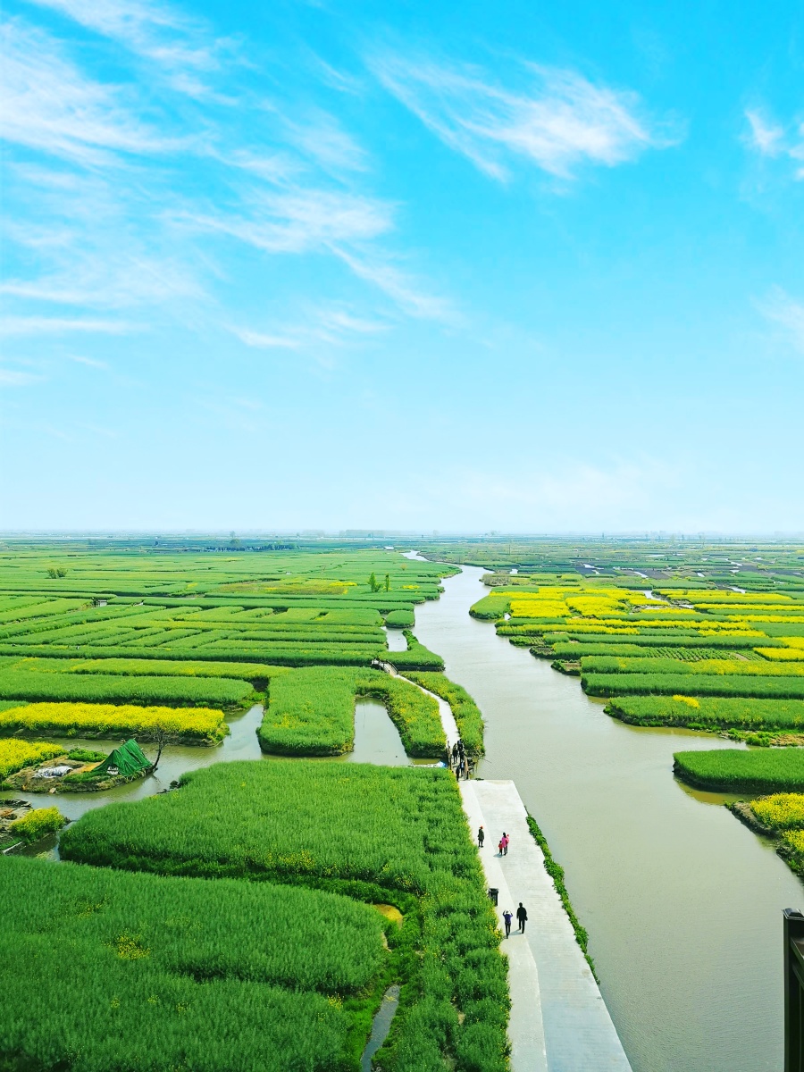 兴化千垛河田