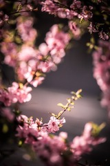 0C7C43EA-4FBC-4E3C-A438-AC8136289B7A/L0/001