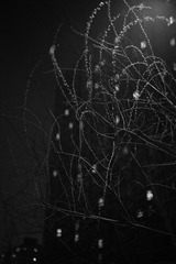 C98D02A2-1B65-41FE-96DD-EB8937F803AB/L0/001