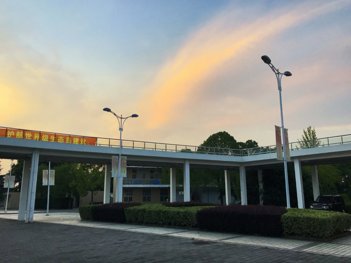 手机拍摄崇明中学校园