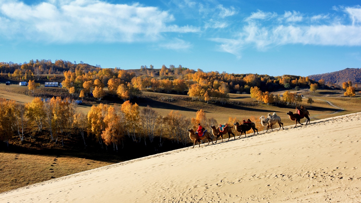 水岸摄影天边的骆驼摄于内蒙古乌兰布统坝上草原