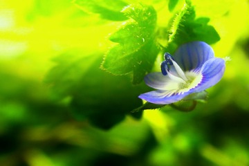 889909B3-8FC3-4A8E-B4AD-A9A30BC3BEE0/L0/001