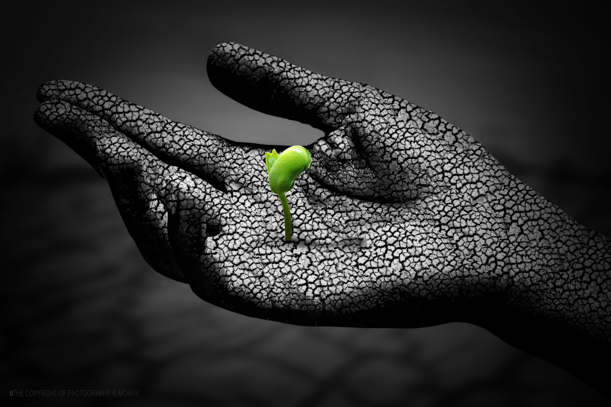 "上帝之手"——人与自然关系的反思 - ps-墨染 - 图虫网 - 优质摄影师