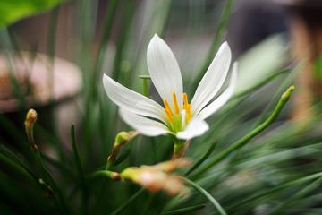 P9290014_
