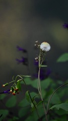 189725