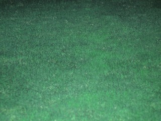 PA060470