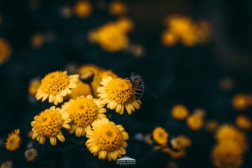 1460013