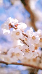 28B8612F-AE95-4D92-A444-C57737727457/L0/001