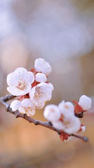 39848C3C-016F-40C4-AE22-721B154F7934/L0/001