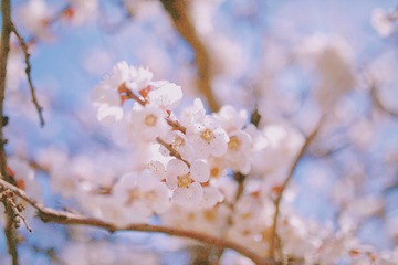 28B8612F-AE95-4D92-A444-C57737727457/L0/001